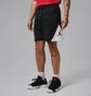 Шорти чоловічі Air Jordan Sport Dri-Fit Black IQ5775-011
