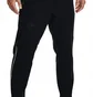 Штаны мужские Under Armour Pants Ua Terrain Woven Ankle Black 1370512-001