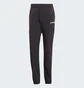 Штаны мужские Adidas Terrex Xperior Pants Black IQ1401
