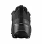 Кроссовки мужские Salomon Cross Hike Gtx 2 Black 417301