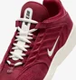 Кросівки чоловічі Nike Vertebrae Sb Bordo FD4691-600