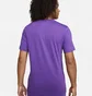 Футболка чоловіча Nike Sportswear T-Shirt Violet FJ1121-599