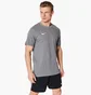Футболка чоловіча Nike M Nk Df Park20 Ss Tee Grey Cw6952-071