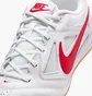 Футзалки чоловічі Nike Gato White HQ6019-102