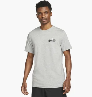 Футболка мужская Nike T-Shirt Grey FD0037-063