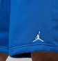 Шорты унисекс Air Jordan Brooklyn Blue HV0095-459