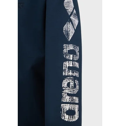 Толстовка мужская Arena Brushed Hooded F/Z Jacket Blue 007686-700