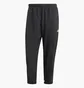 Штаны мужские Adidas Scribble Black IJ6444