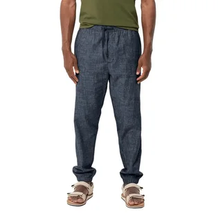 Штаны мужские Jack Wolfskin Sandroute Blue 1507861-1010