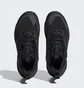 Кросівки жіночі Adidas Terrex Free Hiker Gore-Tex Hiking Shoes 2.0 Black Ie2163