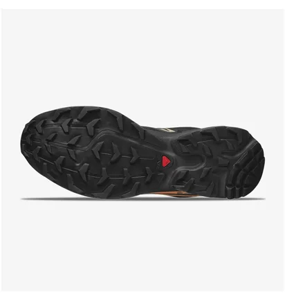 Кроссовки мужские Salomon Xt-6 Expanse Black L47445700