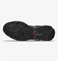 Кроссовки мужские Salomon Xt-6 Expanse Black L47445700