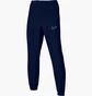 Штаны мужские Nike Dri Fit Academy Blue DR1725-451