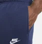 Штани чоловічі Nike Sportswear Club Fleece Blue CD3129-410
