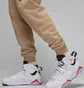 Штаны мужские Air Jordan M J Ess Flc Baseline Pant Beige FD7345-200