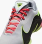 Кроссовки мужские Nike Lebron 22 Crown Jewel Grey/Black FZ1094-101