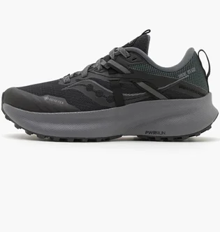 Кроссовки мужские Saucony Ride 15 Tr Gtx Black S20799-10