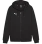 Толстовка мужская Puma Teamgoal Casuals F03 Black 658595-03