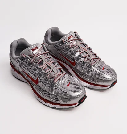 Кросівки чоловічі Nike P-6000 Metallic CD6404-024