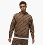 Худи мужское Air Jordan Essentials Brown Dv7640-274