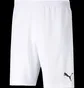 Шорты мужские Puma Shorts Teamrise Short White 704942-03