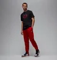 Футболка мужская Air Jordan Flight Essentials Black HJ2340-010