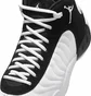 Кросівки чоловічі Air Jordan Jumpman Pro White/Black DN3686-110