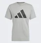 Футболка чоловіча Adidas Train Essentials Feelready Logo Training Tee Grey Ib8276