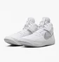 Кросівки унісекс Nike Fury Wrestling Shoes White AO2416-102