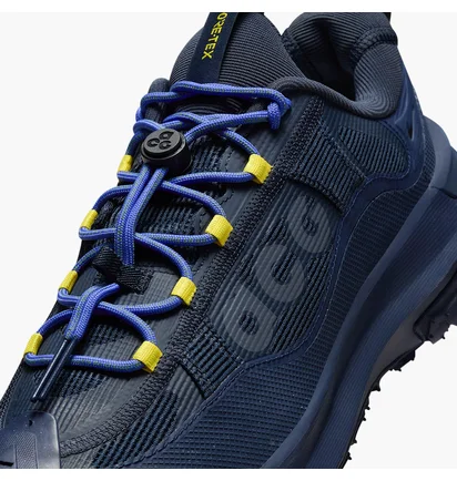 Кроссовки мужские Nike Acg Mountain Fly 2 Low Gore-Tex Blue HF6245-400