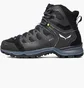Черевики чоловічі Salewa Ms Mtn Trainer Lite Mid Gtx Black 61359-0971