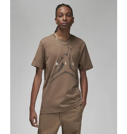 Футболка мужская Air Jordan M J Ess Graphic Ss Crew Brown Dv8420-274