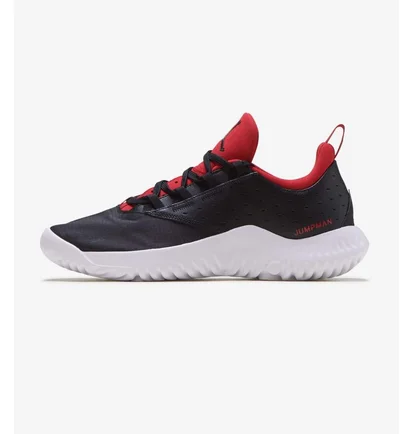 Кросівки чоловічі Air Jordan Proto-Lyte Black at3381-006