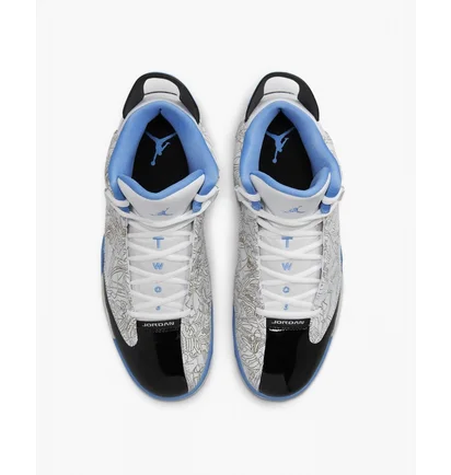 Кроссовки мужские Air Jordan Dub Zero Grey 311046-114