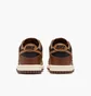 Кроссовки детские Nike Dunk Low Big Kids Shoes Brown FB9109-006