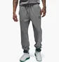 Штаны мужские Air Jordan Flight Fleece Grey FV7251-091