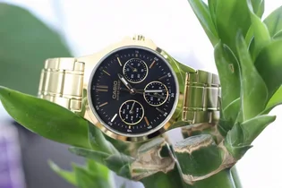 Часы женские Casio Timeless Collection Df LTP-V300G-1A