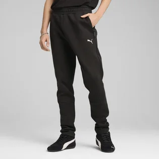 Штаны мужские Puma Evostripe Pants Black 684614-01