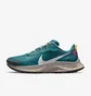 Кросівки чоловічі Nike Pegasus Trail 3 Blue DA8697-300