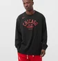 Лонгслів чоловічий Nike Nba Chicago Bulls Courtside Black DA5891-010