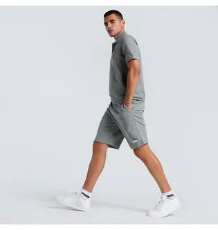 Шорты мужские Puma Essentials Grey 684715-03