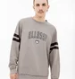 Свитшот мужской Ellesse Vivar Sweatshirt Grey SHV20028-112