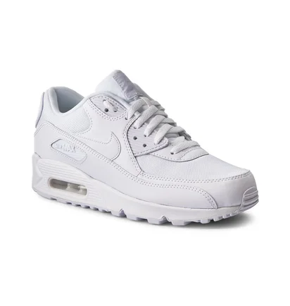 Кросівки чоловічі Nike Air Max 90 White 537384-111