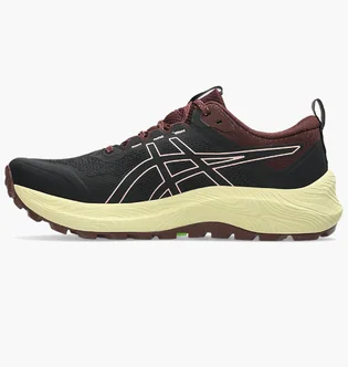 Кроссовки женские Asics Gel Trabuco Terra 3 Black 1012B925-001