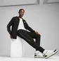 Штаны мужские Puma Ess Tape Sweatpants Black 684680-01