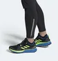 Кроссовки мужские Adidas Terrex Two Gore-tex Black FV8102
