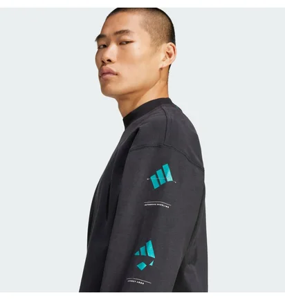 Свитшот мужской Adidas Equipment Long Sleeve Graphic Black JN4849