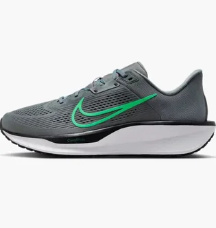 Кроссовки мужские Nike Quest 6 Grey FD6033-009