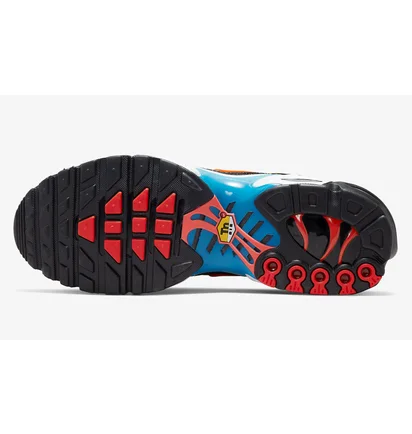 Кросівки чоловічі Nike Air Max Plus Multi DX2665-001