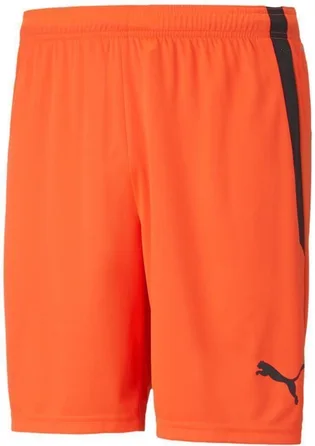 Шорти чоловічі Puma Teamliga Shorts Orange 704924-45